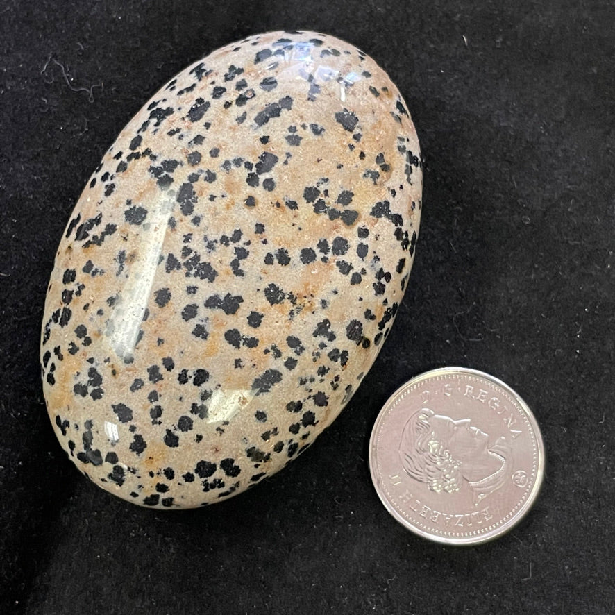 Dalmatian Jasper Palm Stone